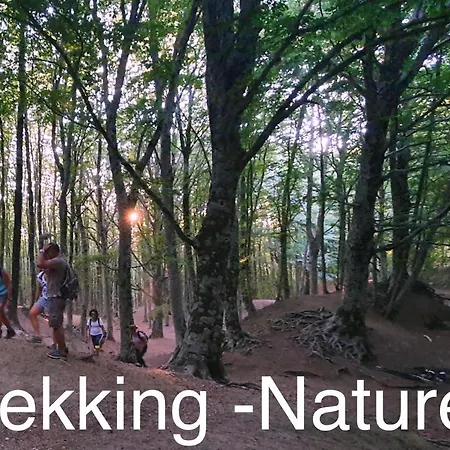 Poseidon -boutique Hotel-